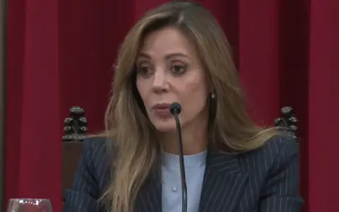Senadora Flavia Royón