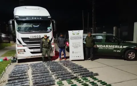 Secuestro de hojas de coca en Santiago.