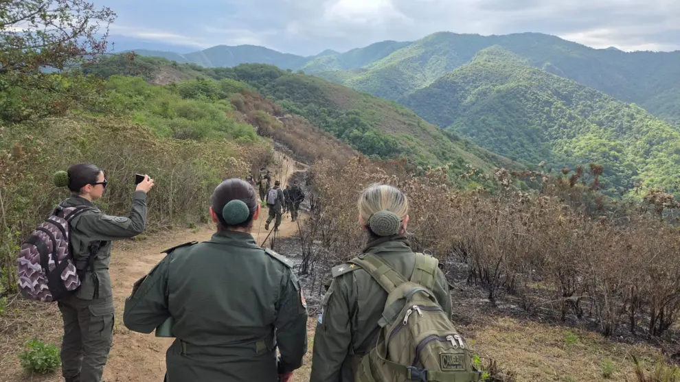 Zona del cerro Elefante.
