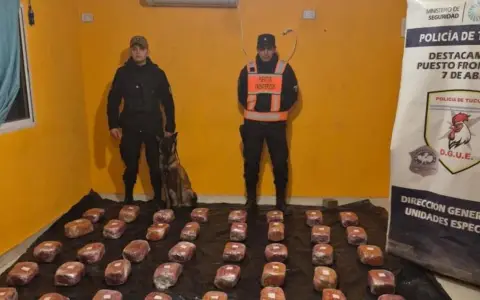 Los paquetes de marihuana interceptados