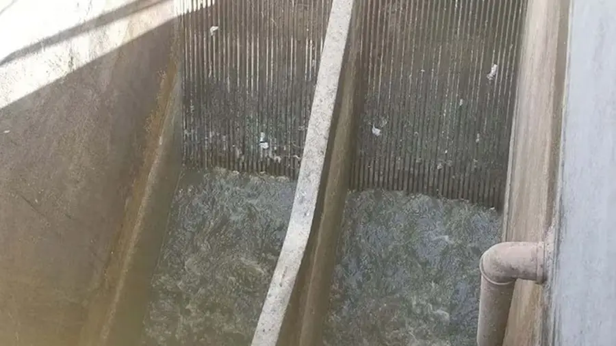 Los restos del feto fueron hallados en piletones.