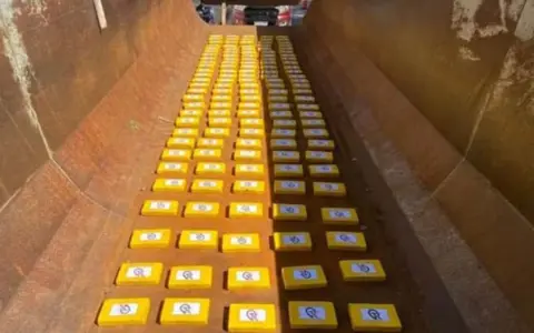 Los ladrillos con cocaína secuestrados.