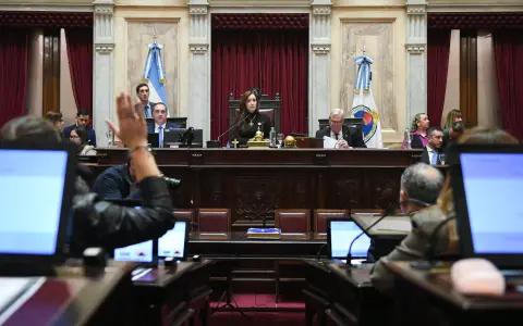 Senado debate sobre armas