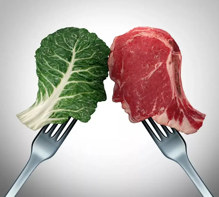 Vegano vs. Carnívoro