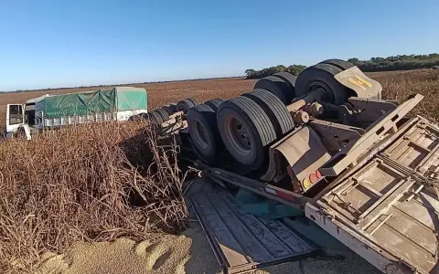 El acoplado volcado con el camión fuera de camino