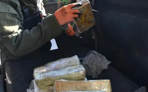 Gendarmería secuestró más de 13 kilos de cocaína que salieron de Salta.