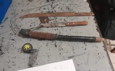 Armas secuestradas