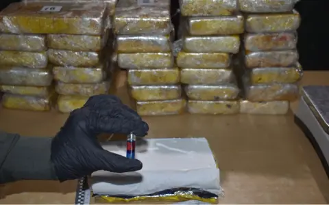 La droga secuestrada era cocaína, según el narcotest