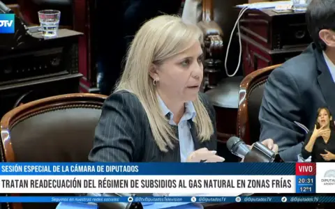 Diputada Nancy Picón Martínez de San Juan