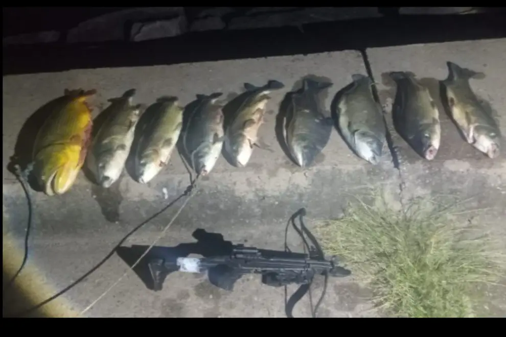 Secuestros insólitos de la policía de Salta