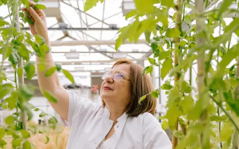 Raquel Chan, Investigadora del CONICET