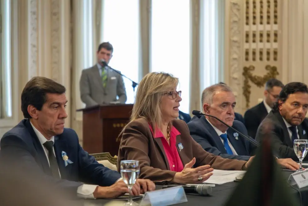 Salta en el Consejo de Seguridad