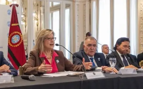 Salta en el Consejo de Seguridad