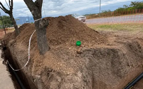 Las obras en la ruta provincial 28 que derivó en daños en árboles, en la ciclovía y el alumbrado público
