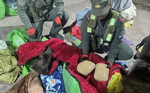 Más de 12 kilos de cocaína envueltos entre acolchados y mantas.