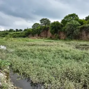 Presuntas estafas con lotes inhabitables: Tras Santiago Pedroza, detienen a un segundo sospechoso por la estafa inmobiliaria que afectó a 400 familias
