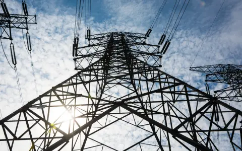 El Gobierno habilitó al grupo “pomelo” Neuss a operar como comercializador en el mercado eléctrico