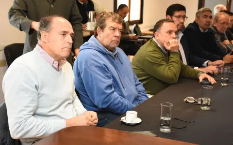 Presidente de Tigres, Carlos Baldi