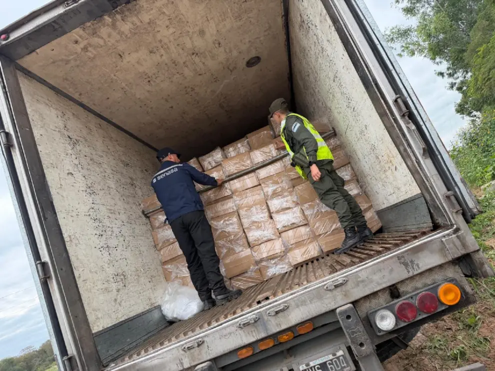 Secuestro de más de 20 toneladas de carne de pescado en Salta