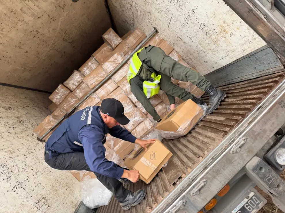 Secuestran más de 20 toneladas de carne de pescado en Salta