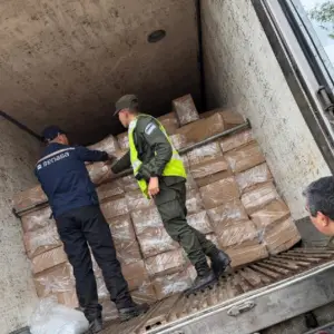 Incautan más de 20 toneladas de pescado sin documentación en un control en Salta