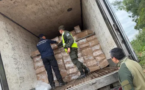 Más de 20 toneladas de carne de pescado en Salta