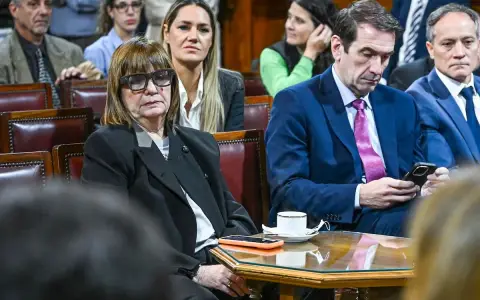 Patricia Bullrich en el Senado.