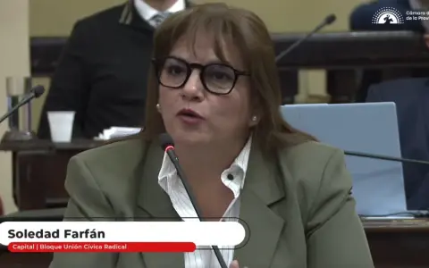 Soledad Farfán, diputada provincial