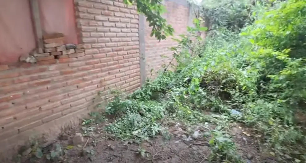 El lugar dónde intentaron abusar de la mujer de 65 años y apareció desmayada