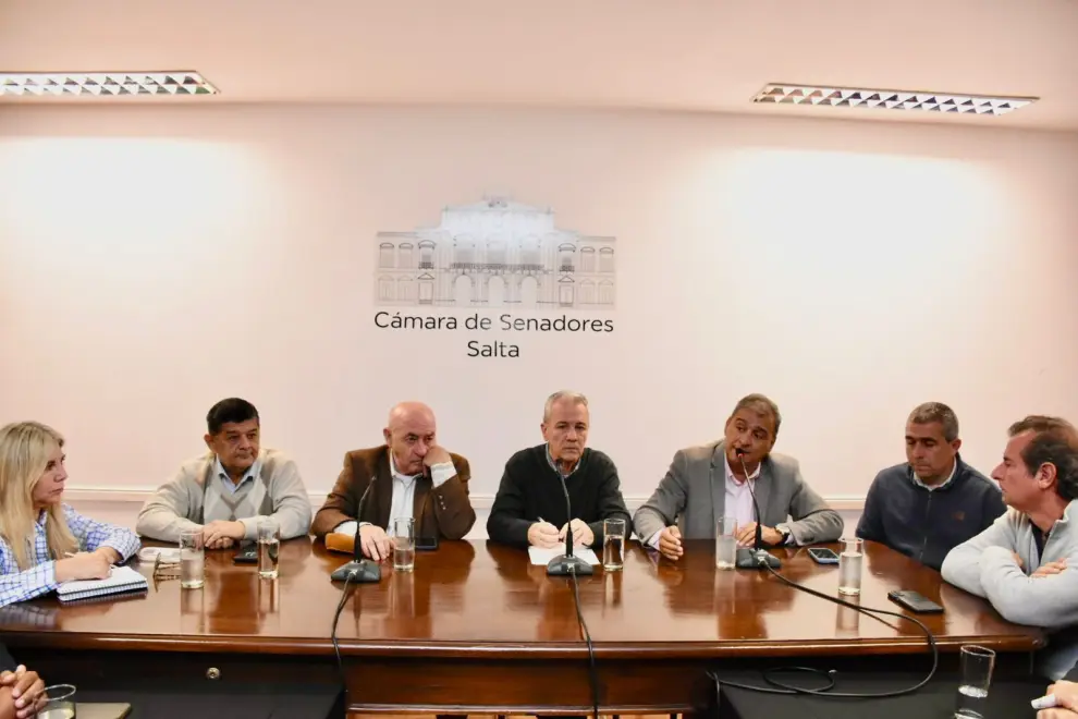 Federico Mangione en el Senado