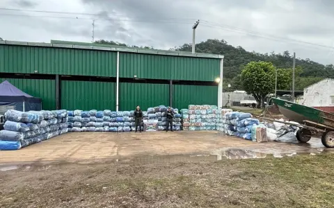 El enorme secuestro realidado por los gendarmes en el norte.