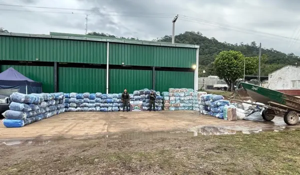 El enorme secuestro realidado por los gendarmes en el norte.