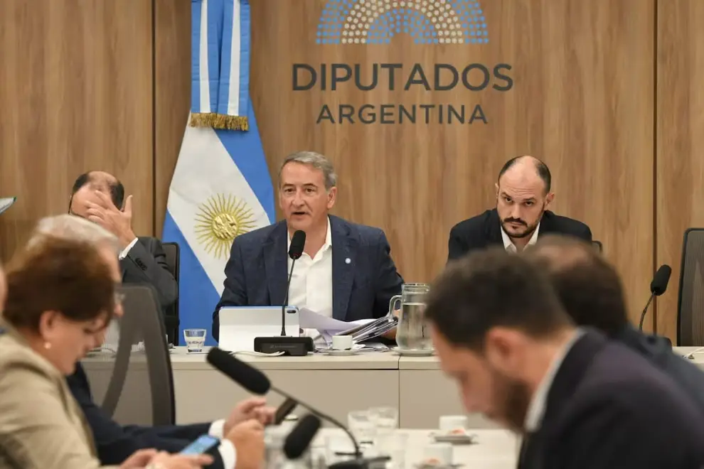 Nicolás Mayoraz condujo el plenario como presidente de la Comisión de Asuntos Constitucionales 