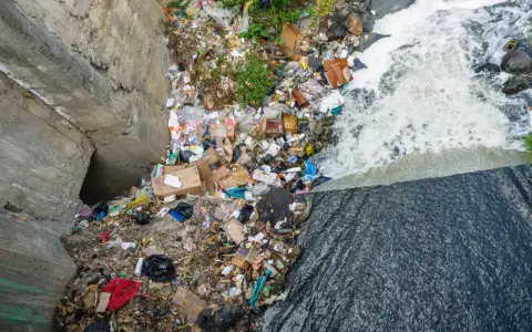 Contaminación argentina