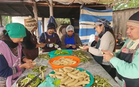 Algunos de los integrantes de Iguopeigenda en pleno proceso de elaboración.