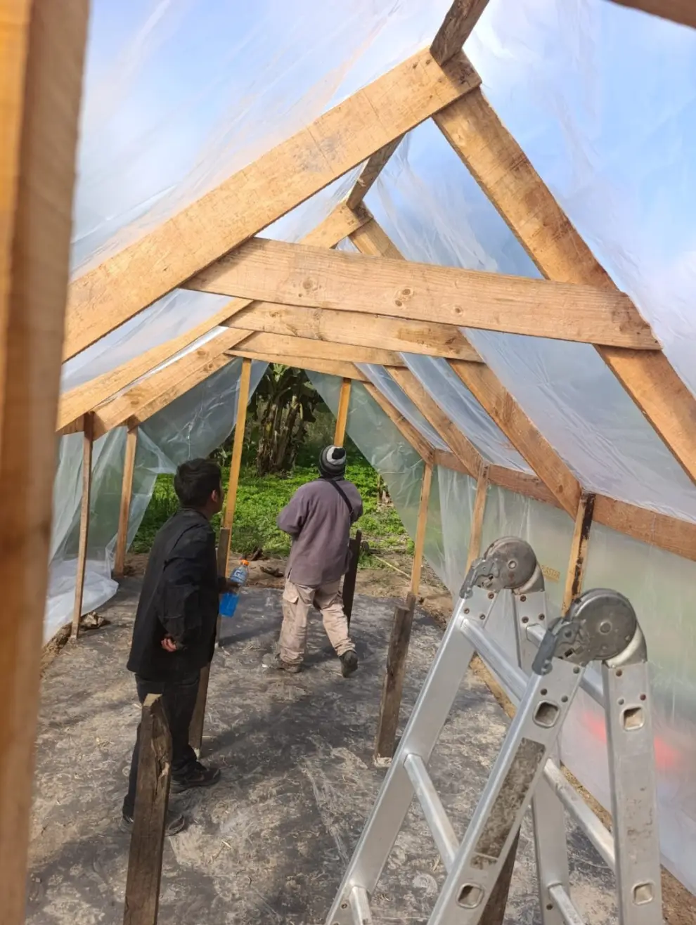 El segundo deshidratador en pleno proceso de construcción