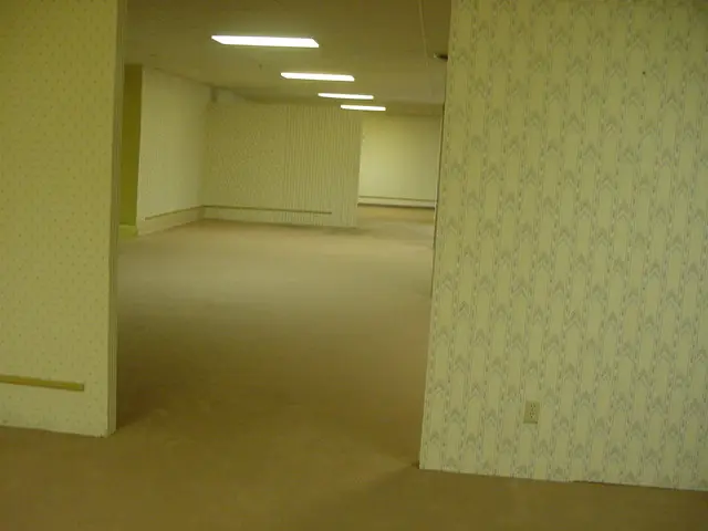 (the_backrooms)