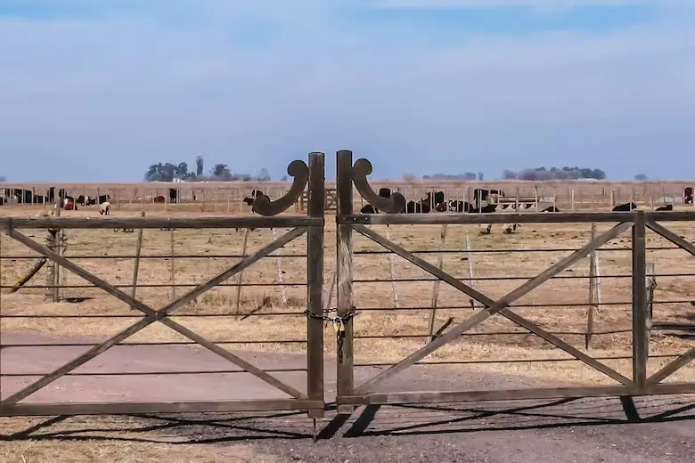 El Poder Ejecutivo modificará la Ley de Tierras.