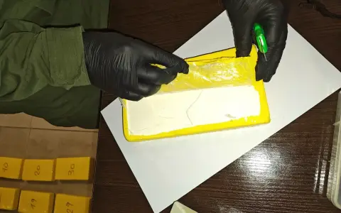 El símbolo del "delfín", relacionado al capo narco detenido Delfín Castedo.
