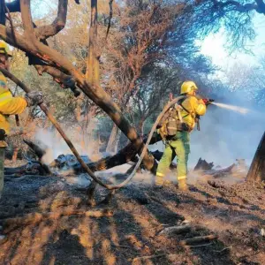 Incendio forestal en Cafayate: brigadistas, bomberos y Defensa Civil luchan contra un fuego que amenaza zonas pobladas