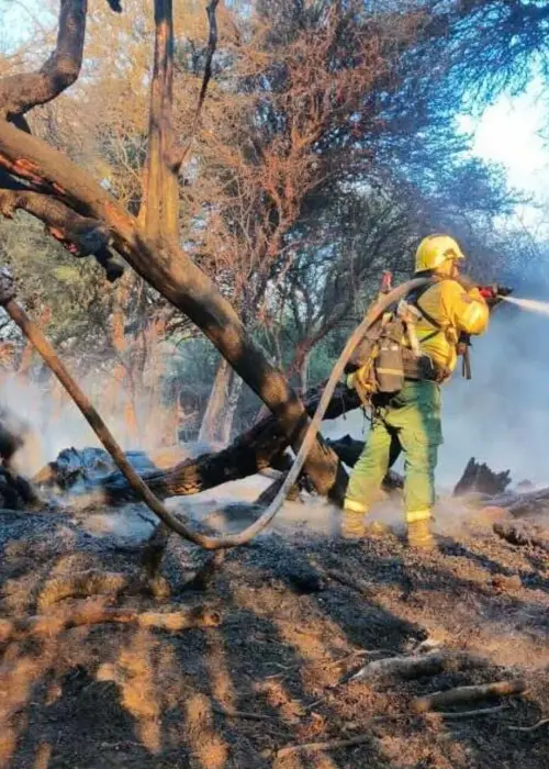 Bomberos Voluntarios de Cafayate trabajando para sofocar el incendio