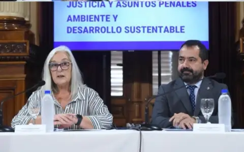 Reunión plenaria de comisión