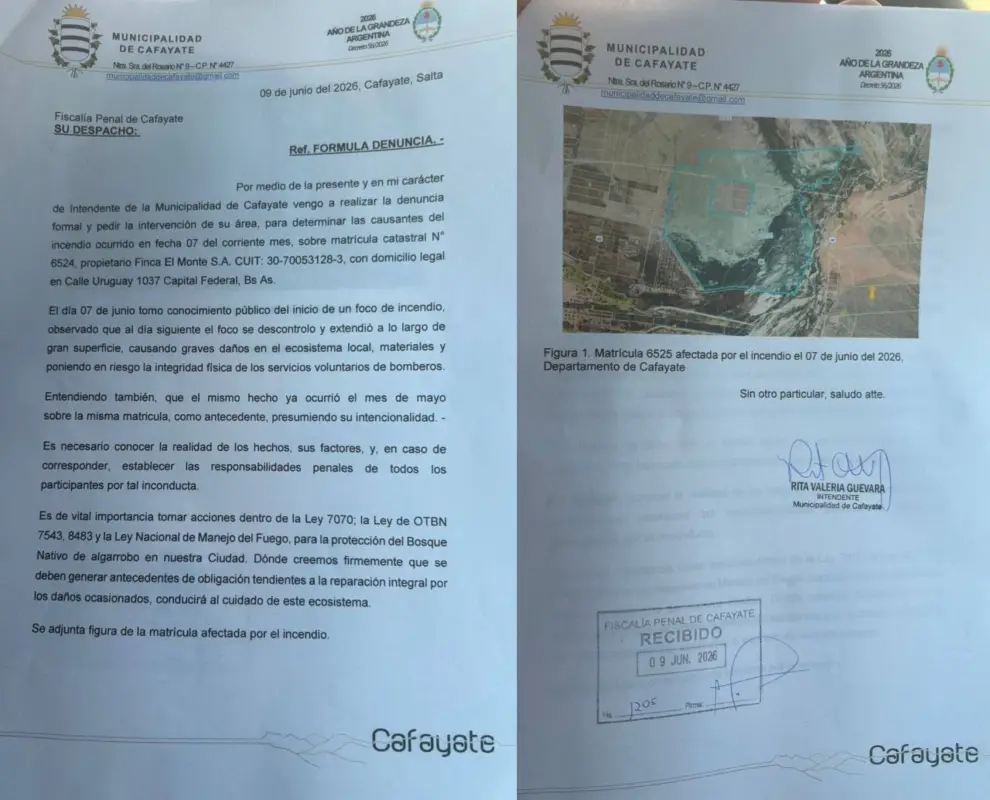 La denuncia firmada por la intendente Guevara.