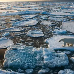 Calentamiento global: estiman que en 2030 será el punto de no retorno del planeta 