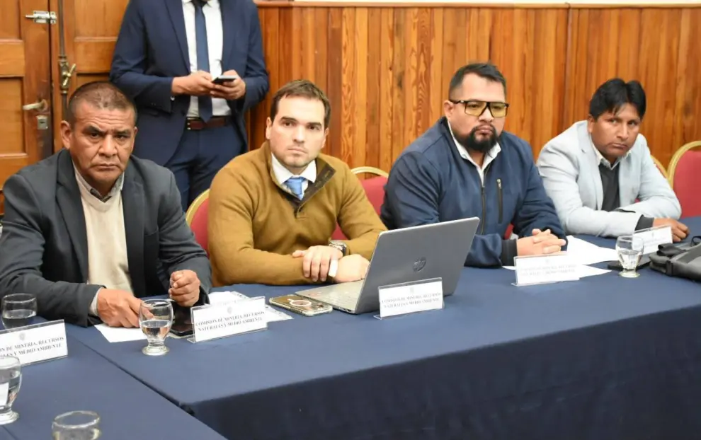 Mesa de Vicuña en el Senado