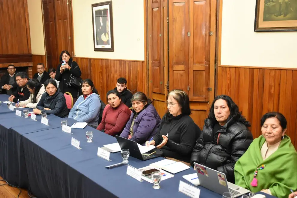 Mesa de Vicuña en el Senado