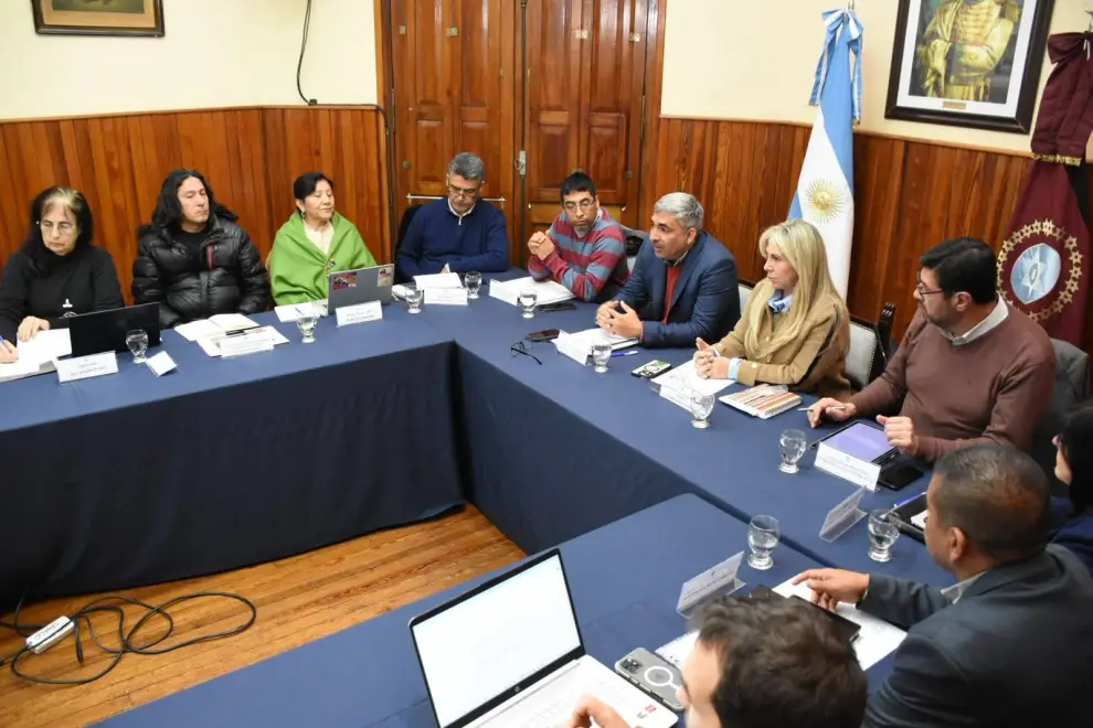 Mesa de Vicuña en el Senado