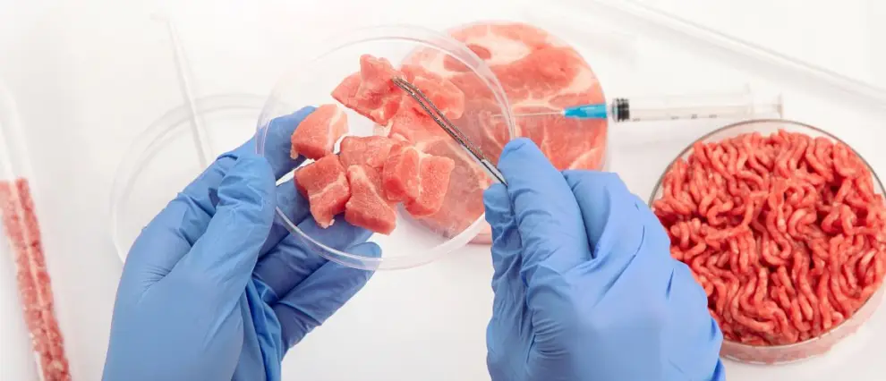 La evolución de la carne cultivada avanza a pasos agigantados.