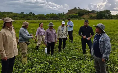 OPS y socios fortalecen la vigilancia del hantavirus y otras fiebres hemorrágicas en las Américas