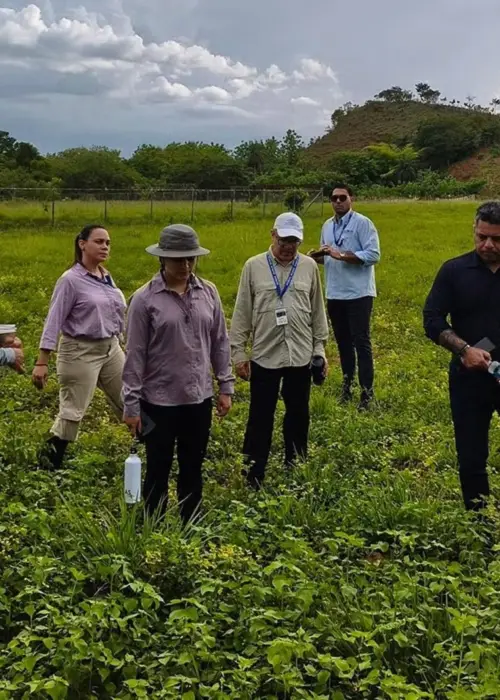 OPS y socios fortalecen la vigilancia del hantavirus y otras fiebres hemorrágicas en las Américas